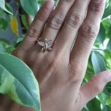 Изображение кольцо из латуни цвета розовое золото в виде бабочки spikes KL-000235